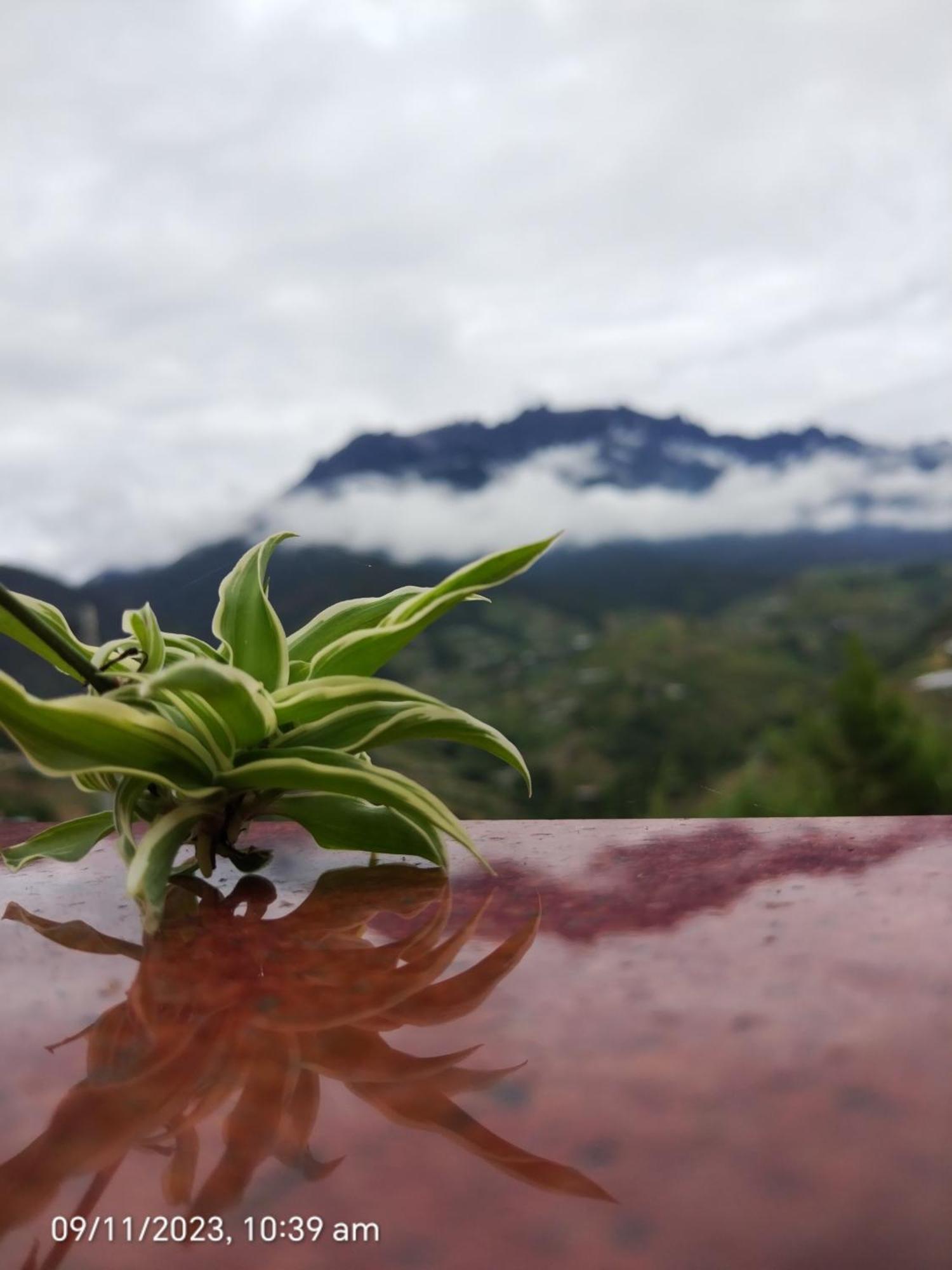 Highland Homestay Kundasang Ranau Exteriér fotografie